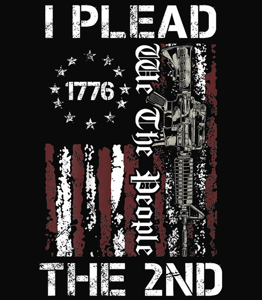I Plead the 2nd t-shirt