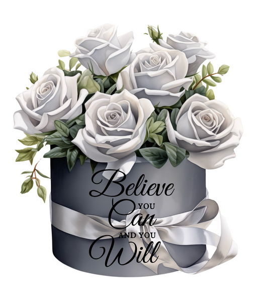 Believe you Can and you Will